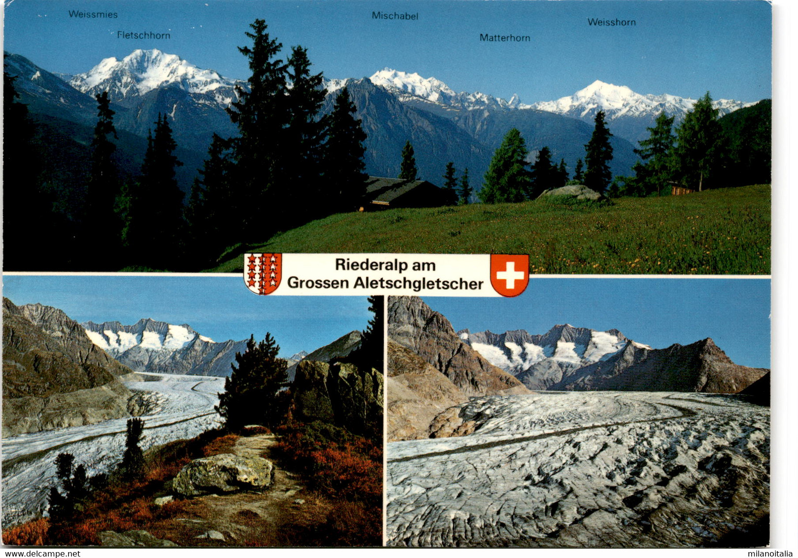 Riederalp Am Grossen Aletschgletscher - 3 Bilder (44607) * 28. 8. 1986 - Riederalp