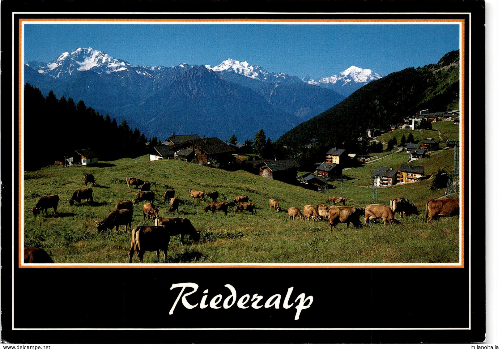 Riederalp (44610) * 10. 8. 1994 - Riederalp