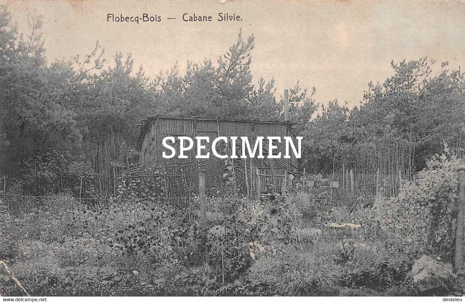 Cabane Silvie - Flobecq - Vloesberg