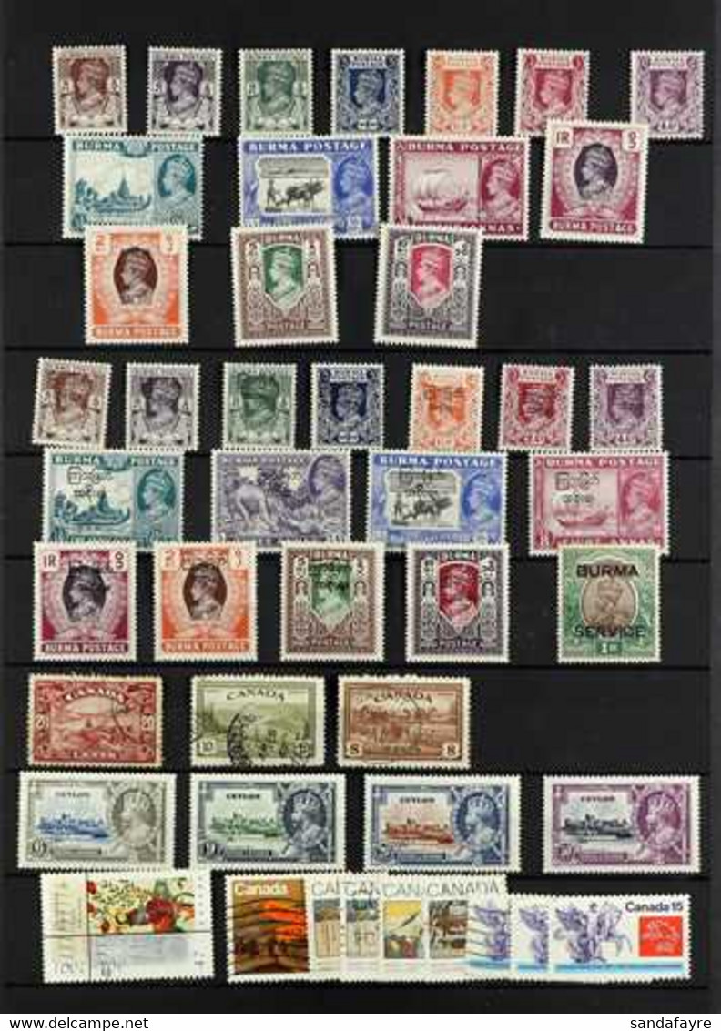 HORSES  BRITISH COMMONWEALTH 1890's-1980's Mint And Used Collection On Stock Pages, Mostly Featuring Horses, Plus Some U - Unclassified