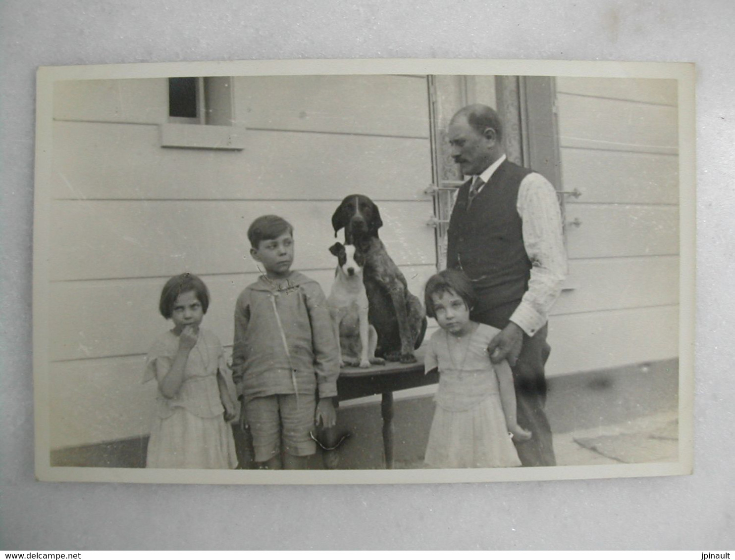 CARTE PHOTO - Portrait D'un Groupe Familial Avec Chiens - Fotografia