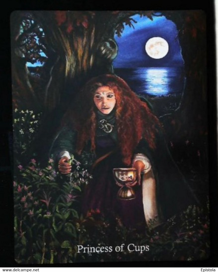 Princess Of Cups (Morgan  Holy Grail) Arthur Legend - Arthurian Britian Myth - A Divination & Meditation Tarot Maxi Card - Tarot