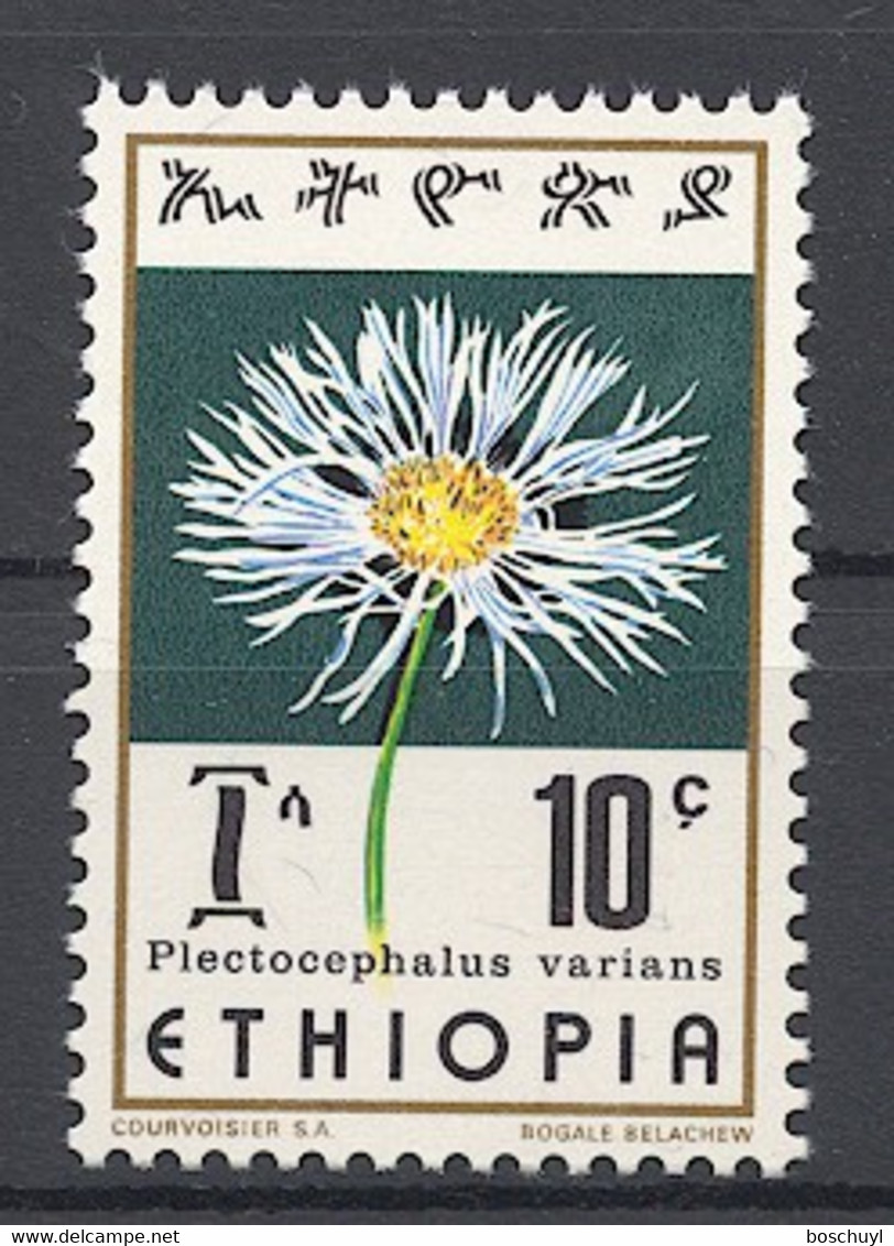 Ethiopia, 1976, Flowers, 10c, MNH, Michel 845 - Etiopia