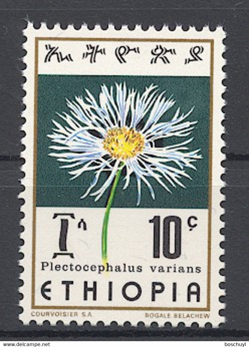 Ethiopia, 1976, Flowers, 10c, MNH, Michel 845 - Ethiopie