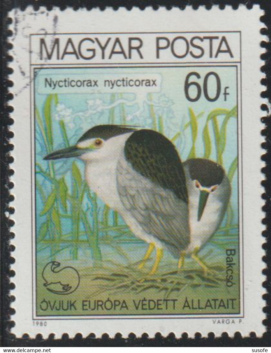 Hungria 1980 Scott 2660 Sello * Fauna Aves Garza Black-crowned Night Heron (Nycticorax Nycticorax) Michel 3452A Yv. 2737 - Ungebraucht