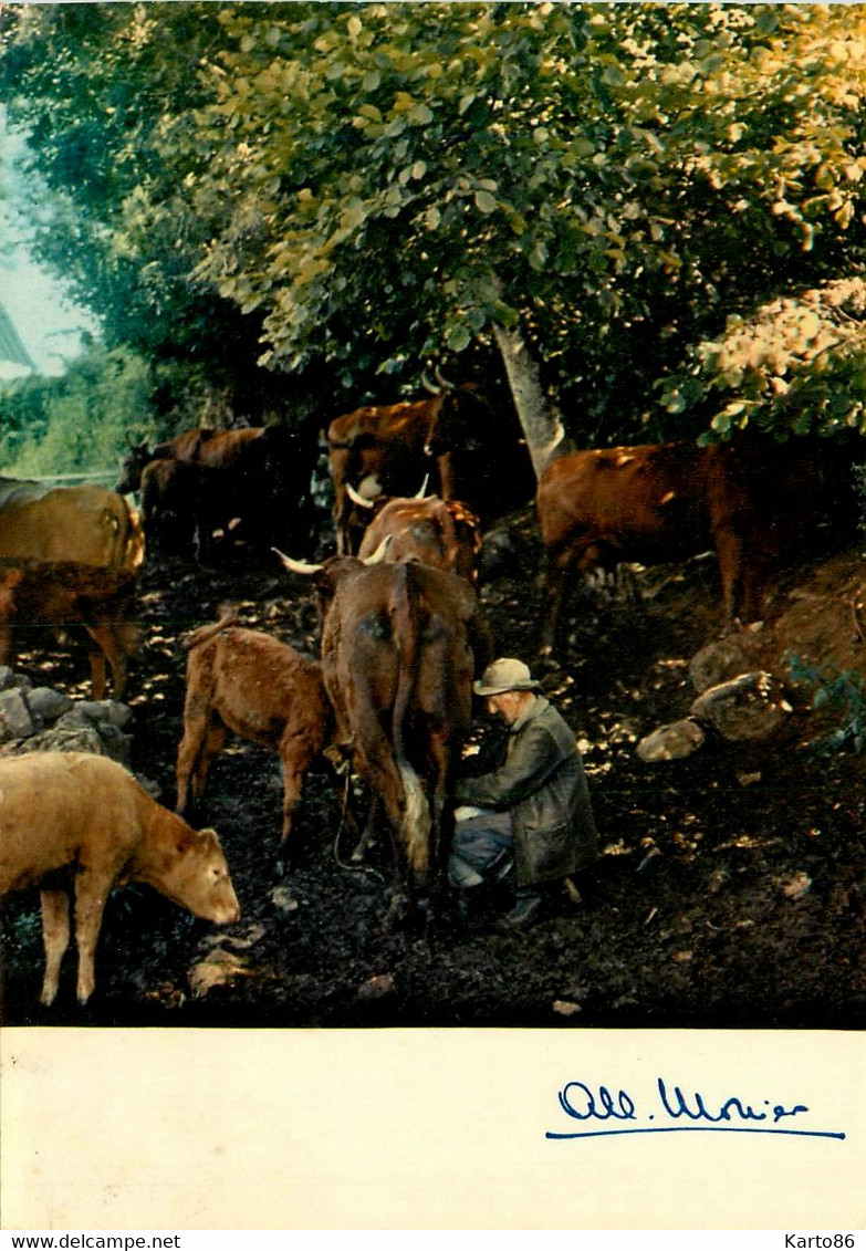 Albert MONIER * Photographe * Prestige De La Terre , Partage * N°1015 * Traite Agricole Agriculture - Monier