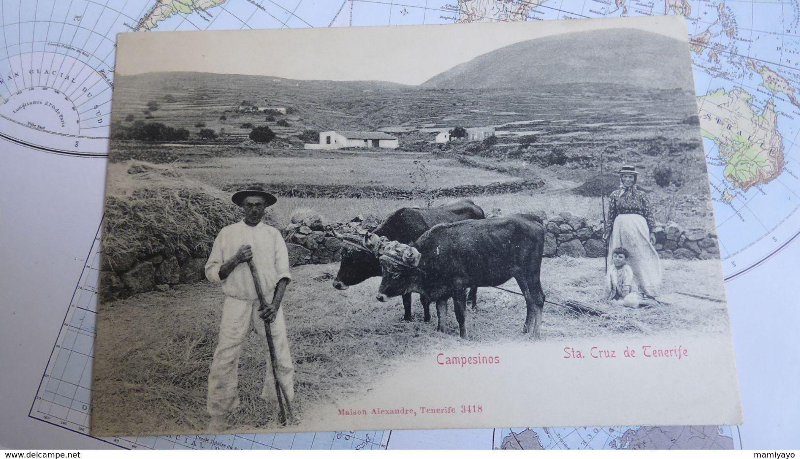 Spain / Espagne : Campesinos  Sta Cruz De Tenerife  -Mson Alexandre édit. - Tenerife