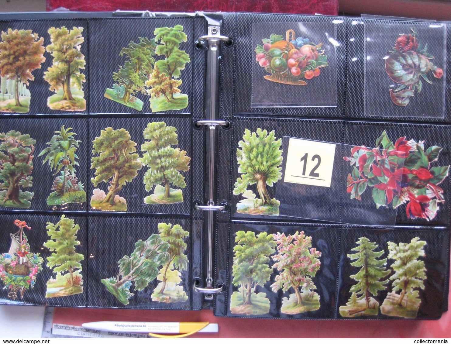 19th century each chromo fotograped (count yourself ) SCRAPS MAP09 -Flowers bloemen manden kransen planten GLANS BILDER