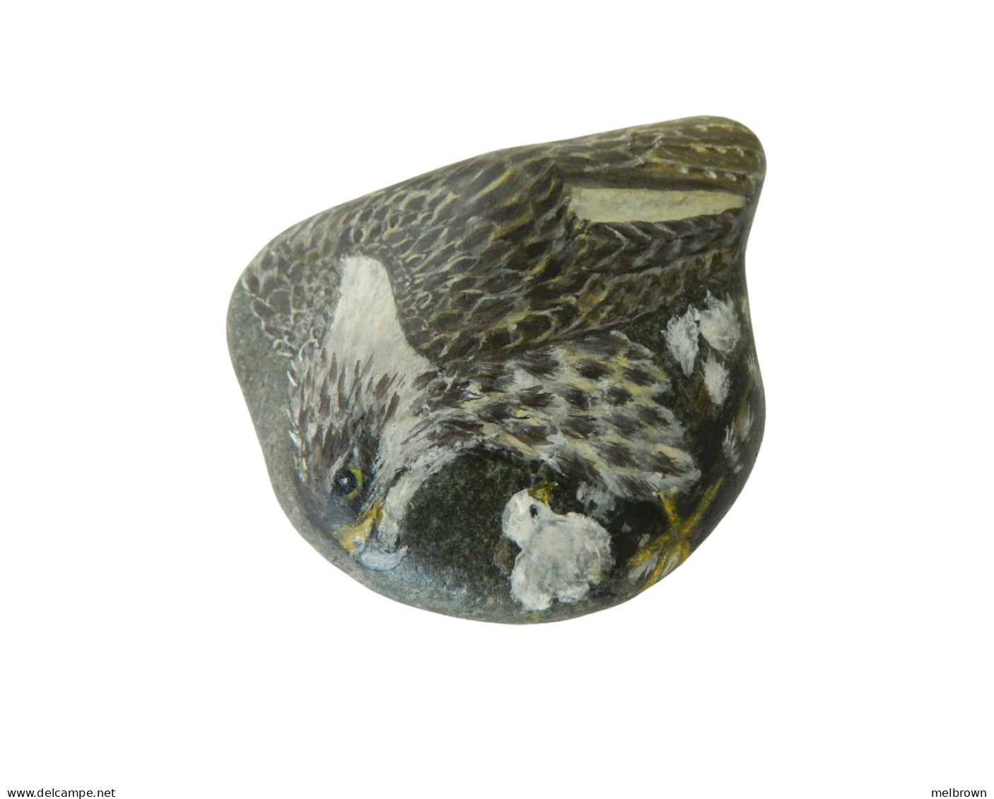 Original Painting Of A Prairie Falcon Hand Painted On A Beach Stone Paperweight Decoration - Animals