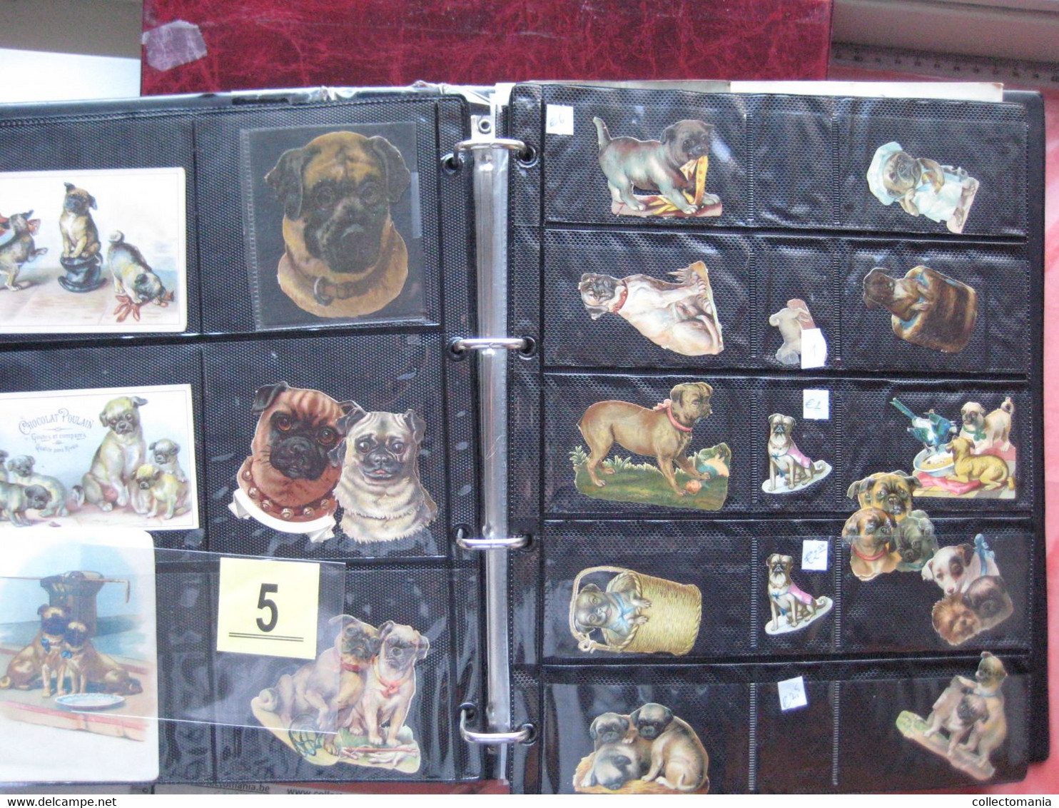19th century each chromo fotograped (count yourself ) SCRAPS_MAP11_dogs, Mops,Teckel,Windhond GLANS BILDER