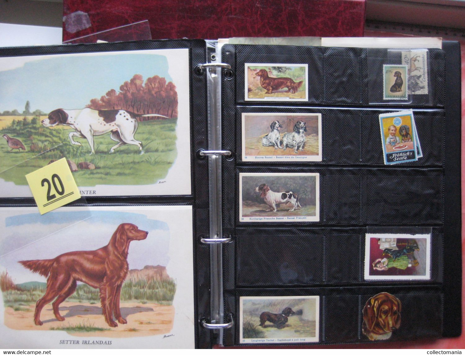 19th century each chromo fotograped (count yourself ) SCRAPS_MAP11_dogs, Mops,Teckel,Windhond GLANS BILDER