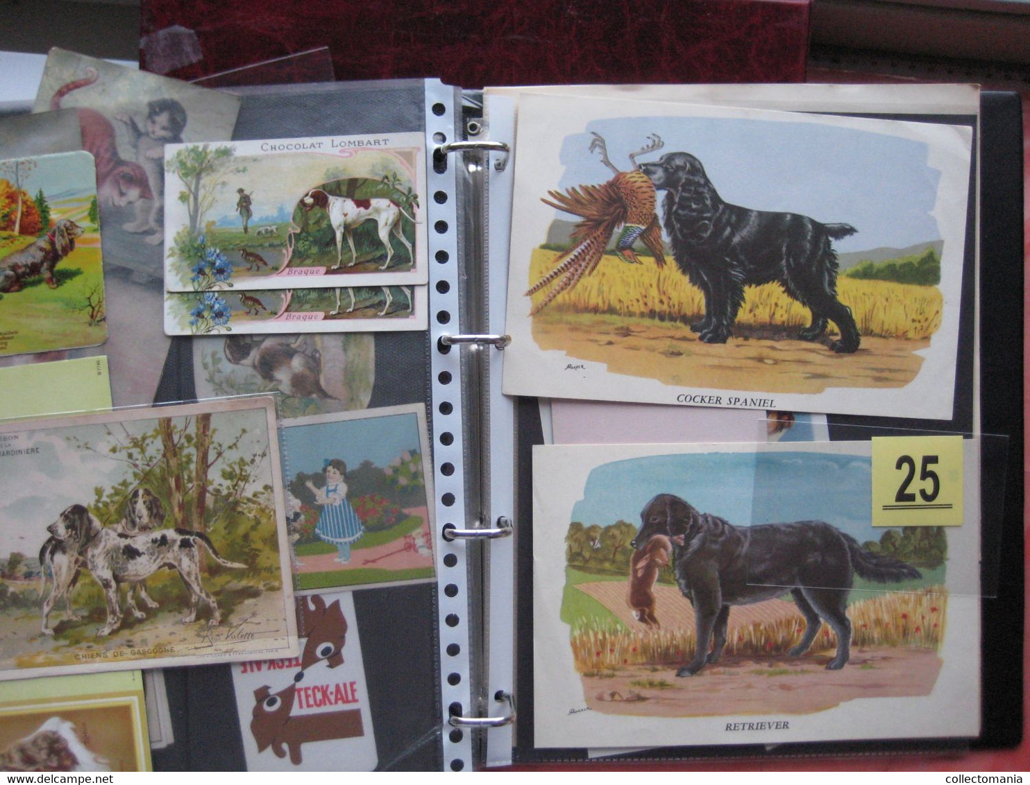 19th century each chromo fotograped (count yourself ) SCRAPS_MAP11_dogs, Mops,Teckel,Windhond GLANS BILDER