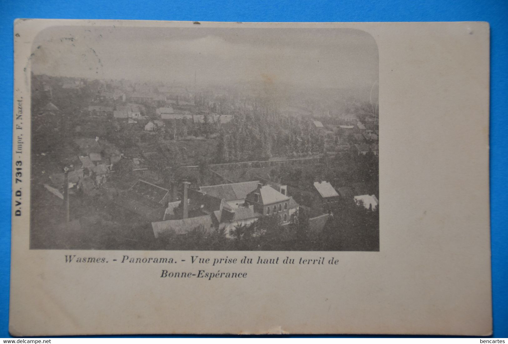 Wasmes 1900: Panorama : Vue Prise Du Haut Du Terril De Bonne-Espérance - Colfontaine