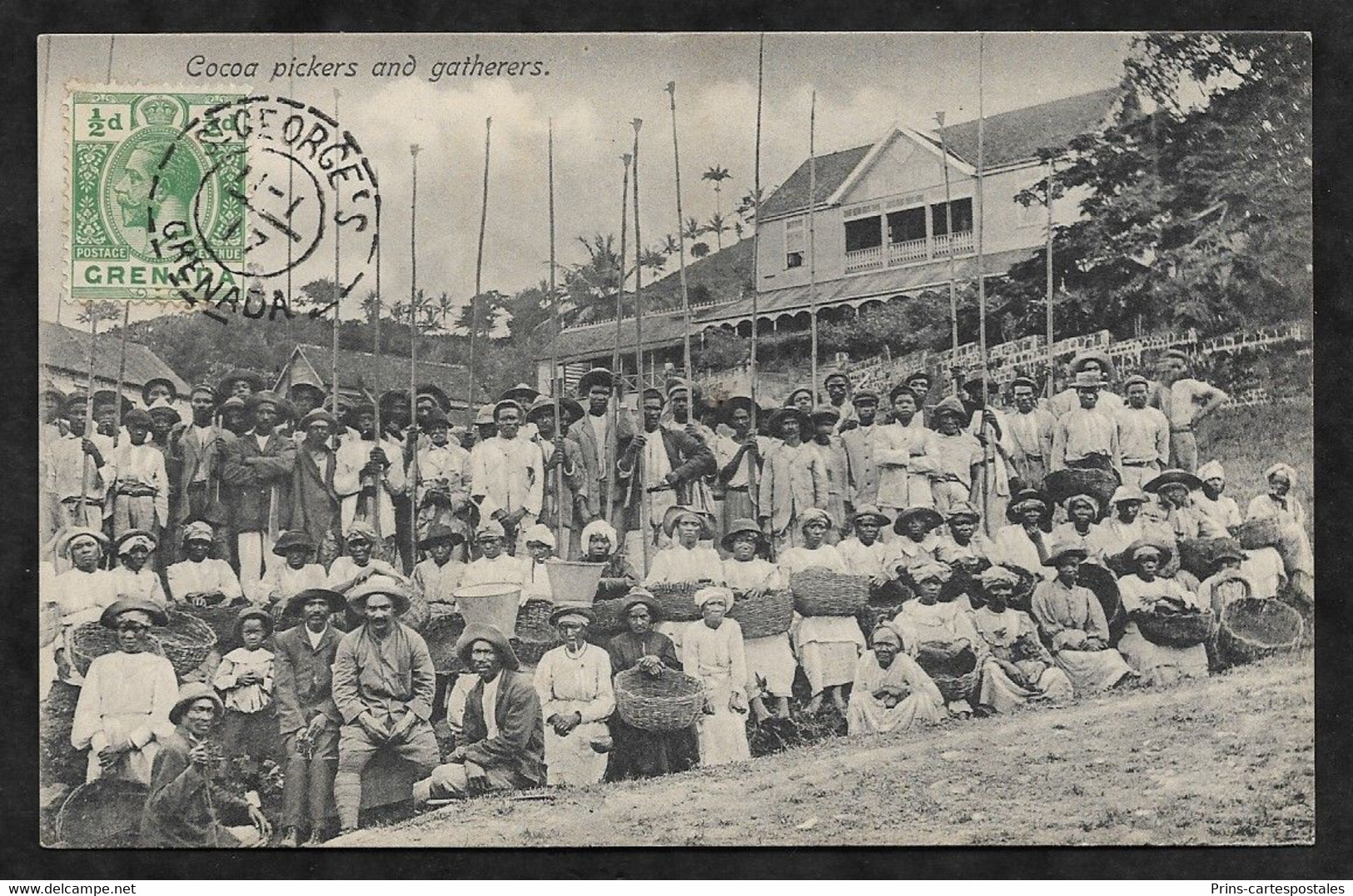 CPA Grenade Cocoa Pickers And Gatherers - Grenada