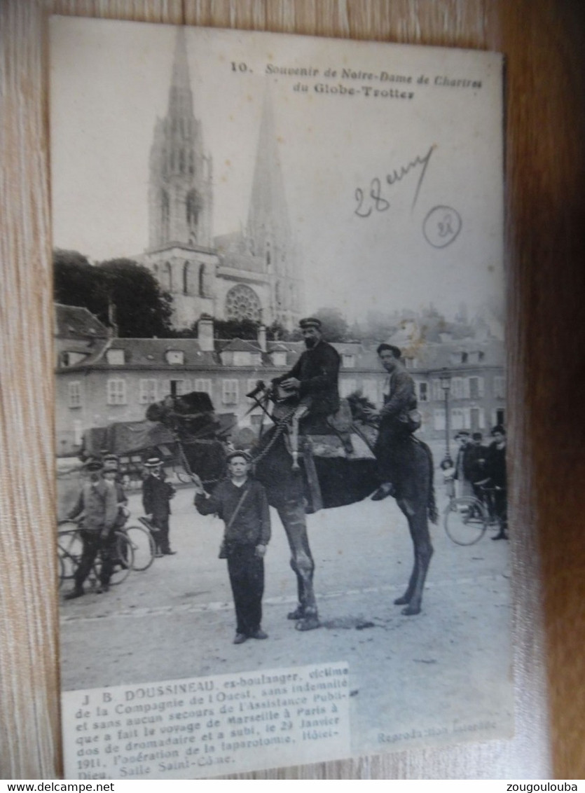 Souvenir De Nd De CHARTRES Dromadaire - Chartres