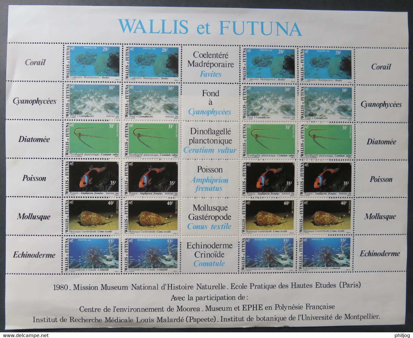 Wallis Et Futuna- Yvert 267-72 Feuille Neuve Sans Charnière - Scott#264-269 - MNH Sheet Of 4 Sets - Coquillage Poisson - Usati