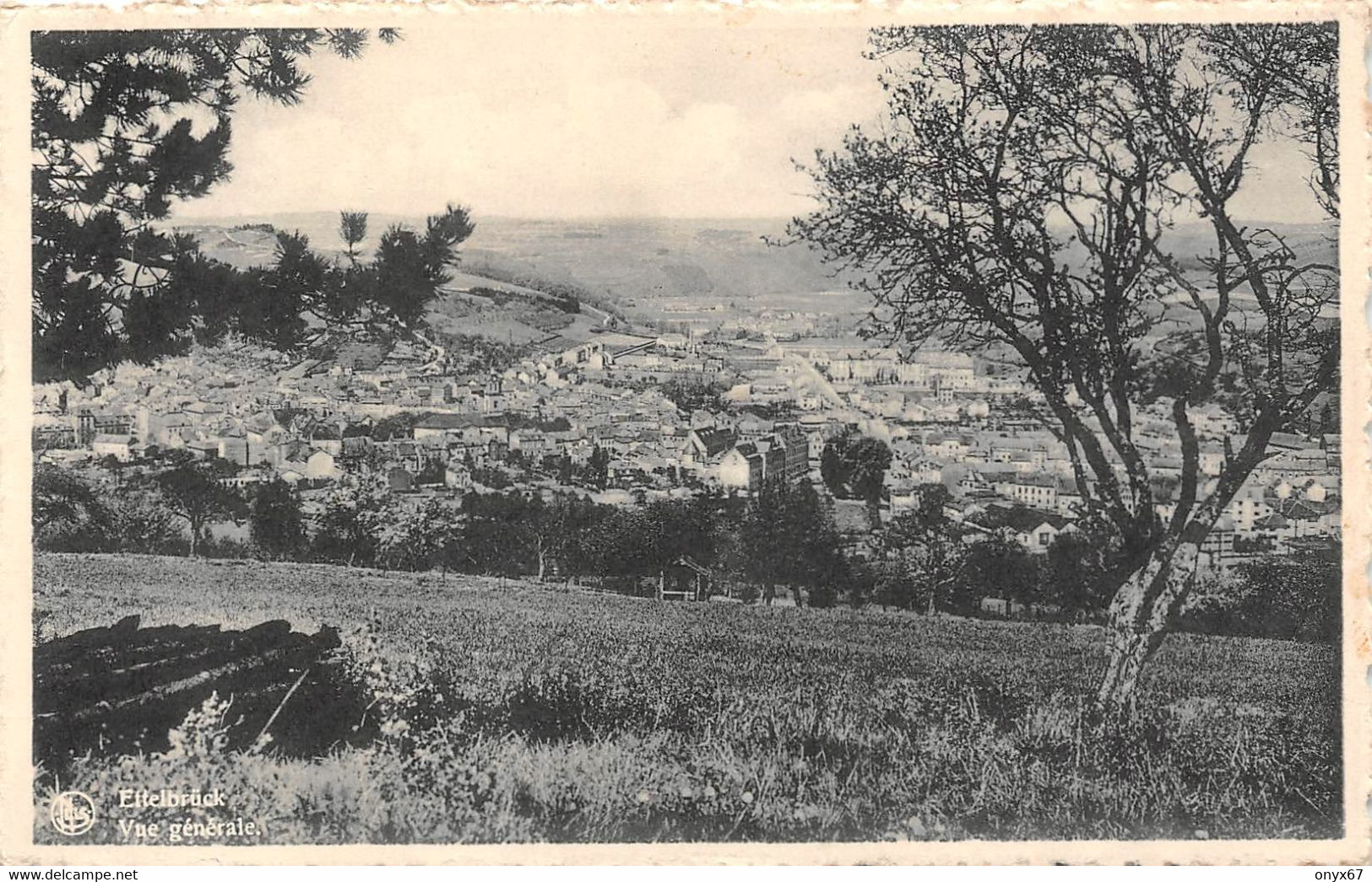 ETTELBRUCK-Canton Diekirch (Luxembourg ) Vue Panorama  De La Ville Edition NELS E.A. Schaack, Luxembourg - Ettelbrück