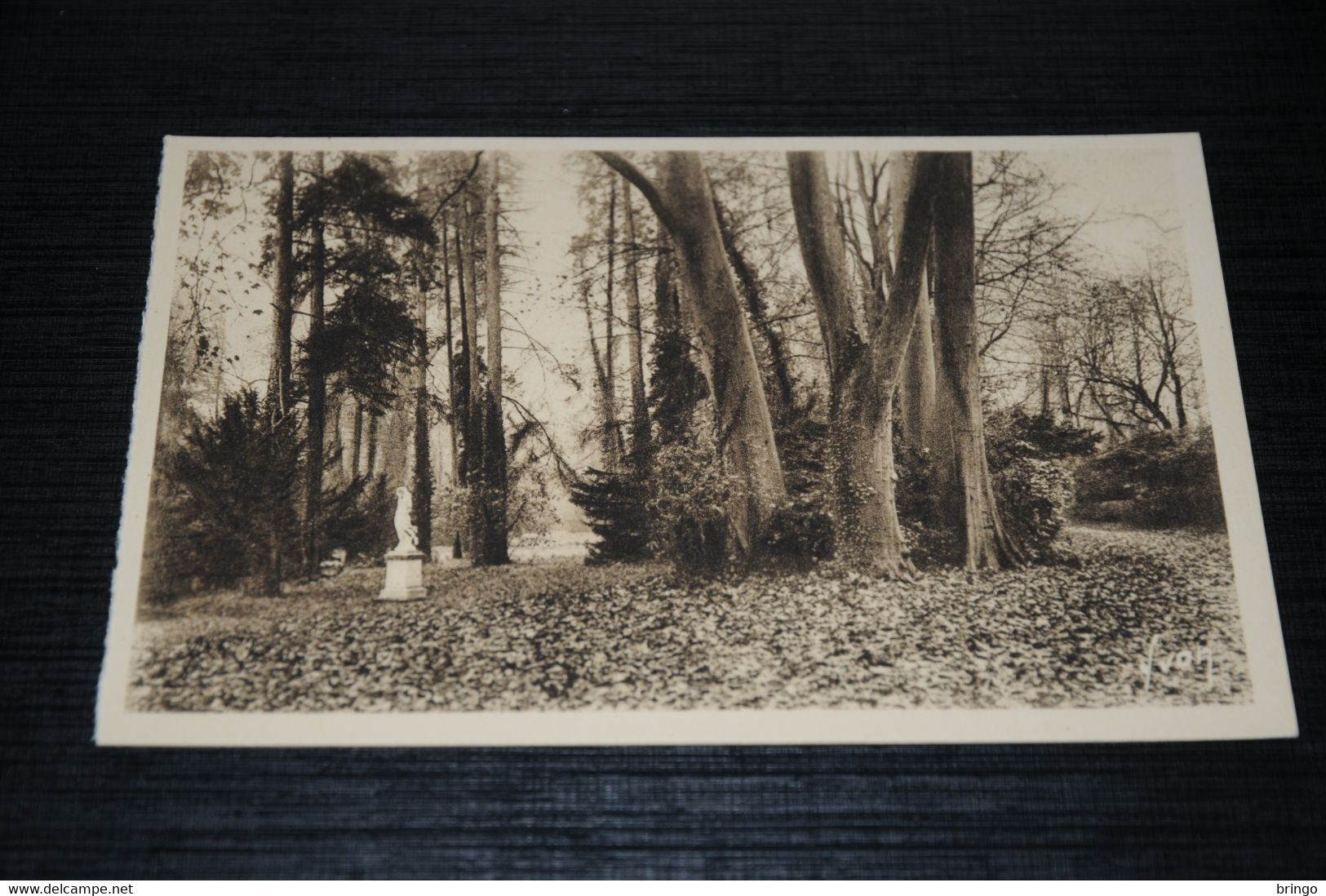 18854-          FONTAINEBLEAU, JARDINS DU PALAIS, ALLEE DES PLATANES - Fontainebleau