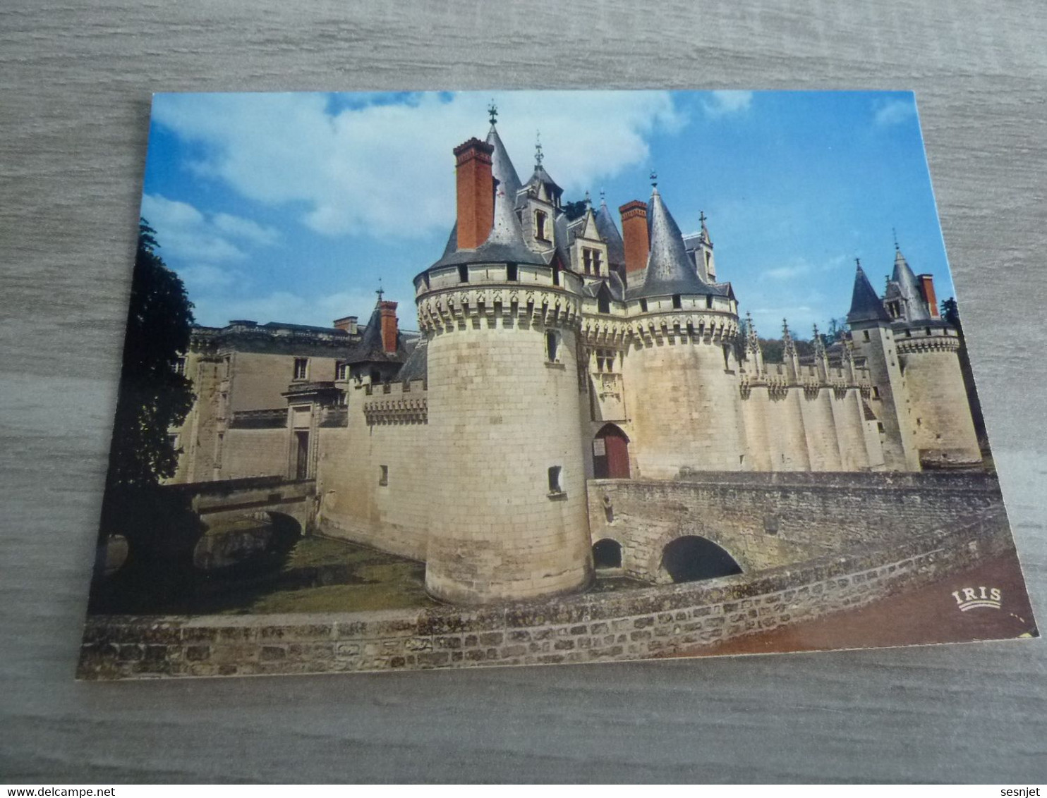 POITIERS - LE CHATEAU DE DISSAY - EDITIONS IRIS - LA CIGOGNE - - Poitiers