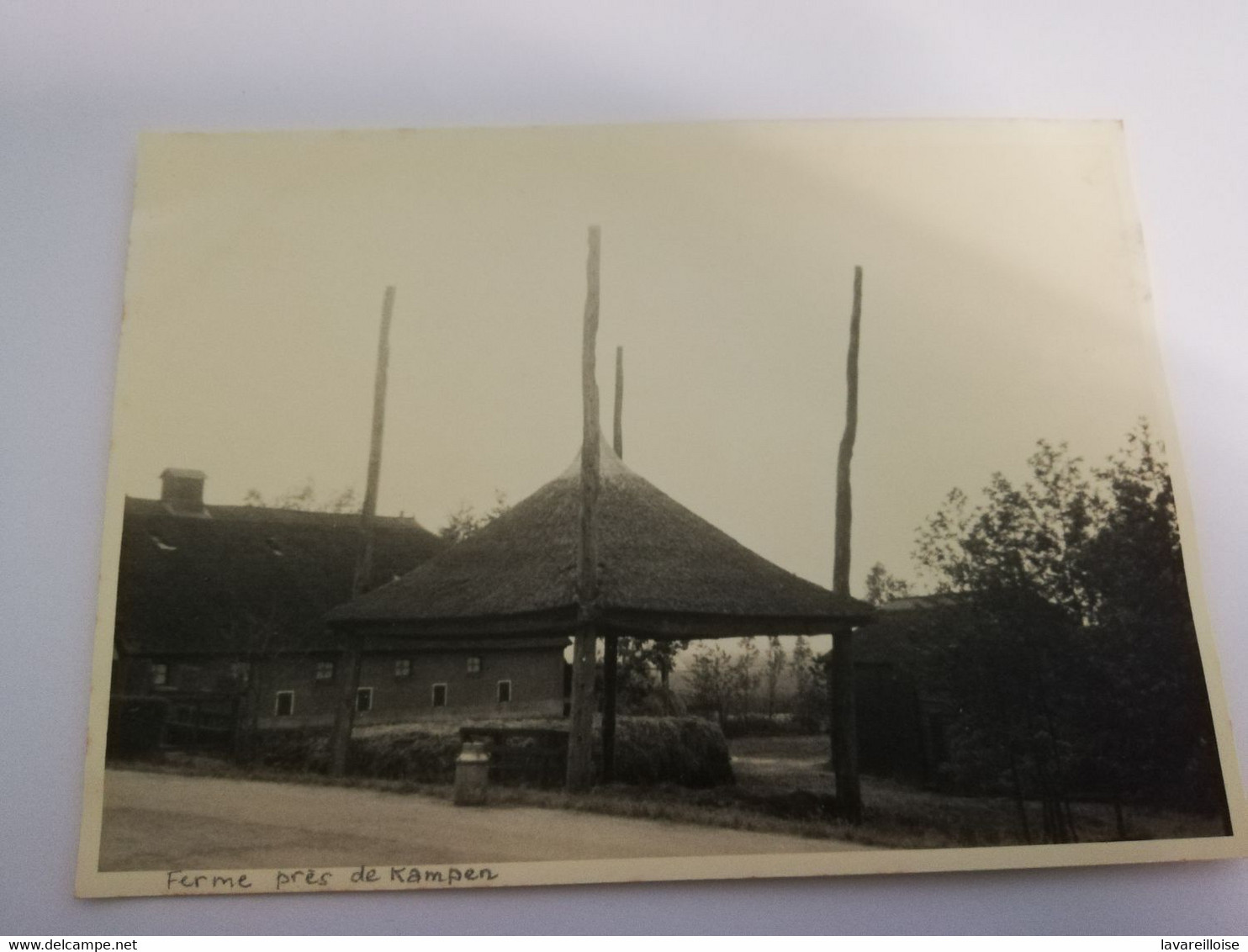 CPA CARTE PHOTO PAYS BAS FERME PRES DE KAMPEN  RARE BELLE CARTE !! - Kampen