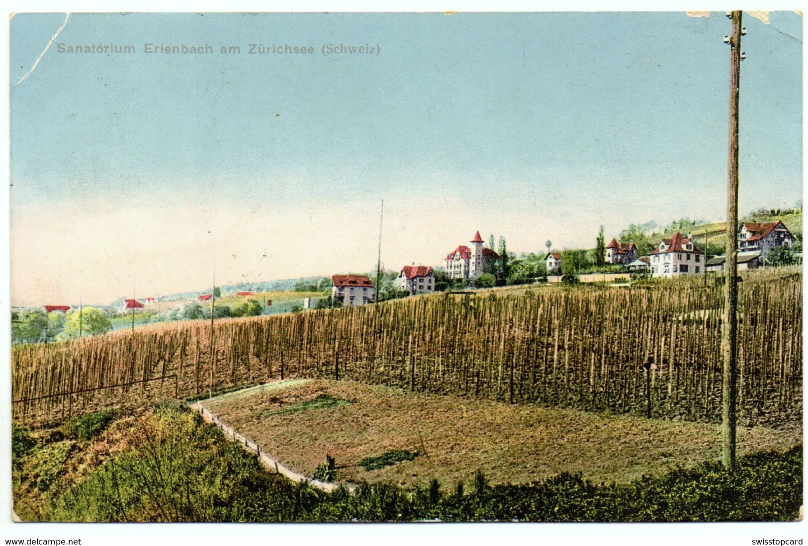 ERLENBACH Sanatorium - Erlenbach