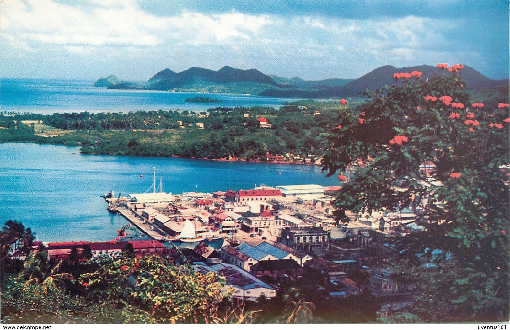 CPSM Isle Of St.Lucia     L4 - Sainte-Lucie