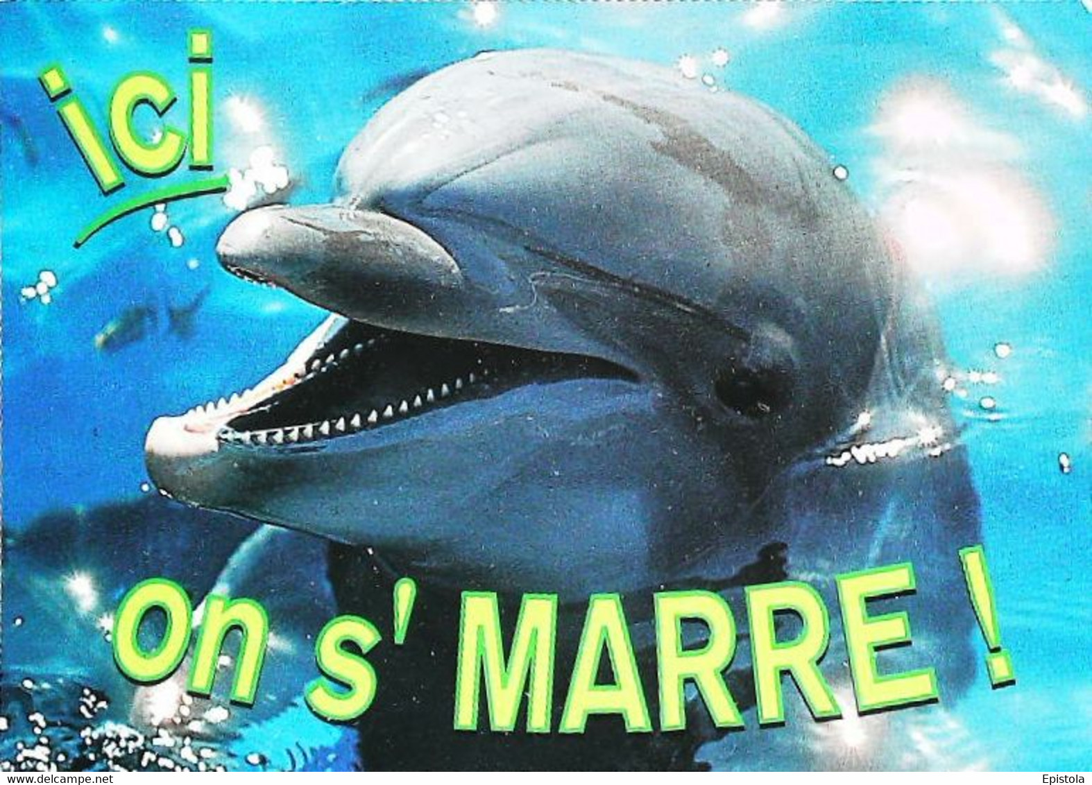 CPSM // Dolphin Dauphin    Timbre Stamp  écureuil  Squirrel - Dauphins