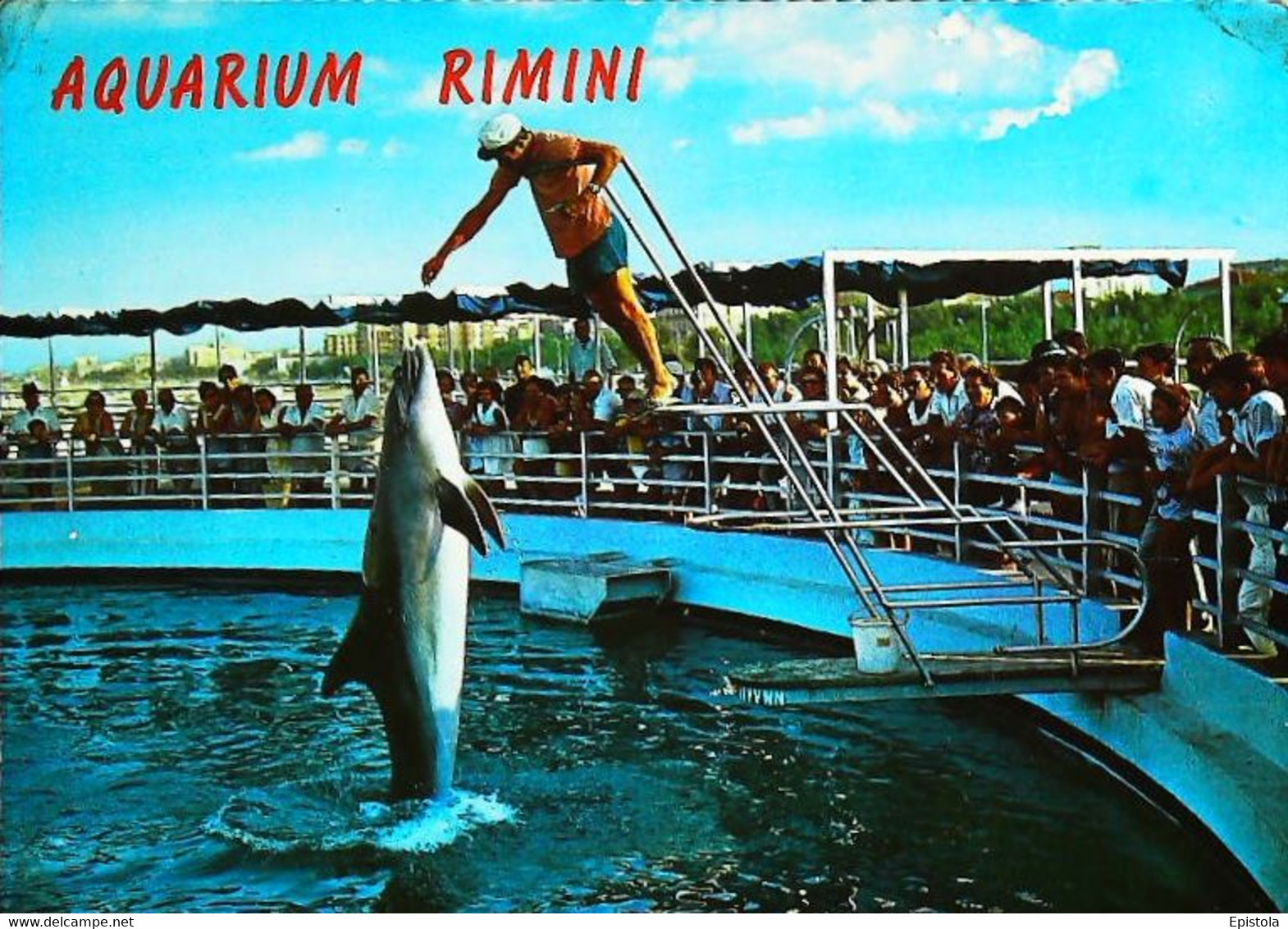 CPSM // Dauphin Dolphin  Rimini - Dauphins