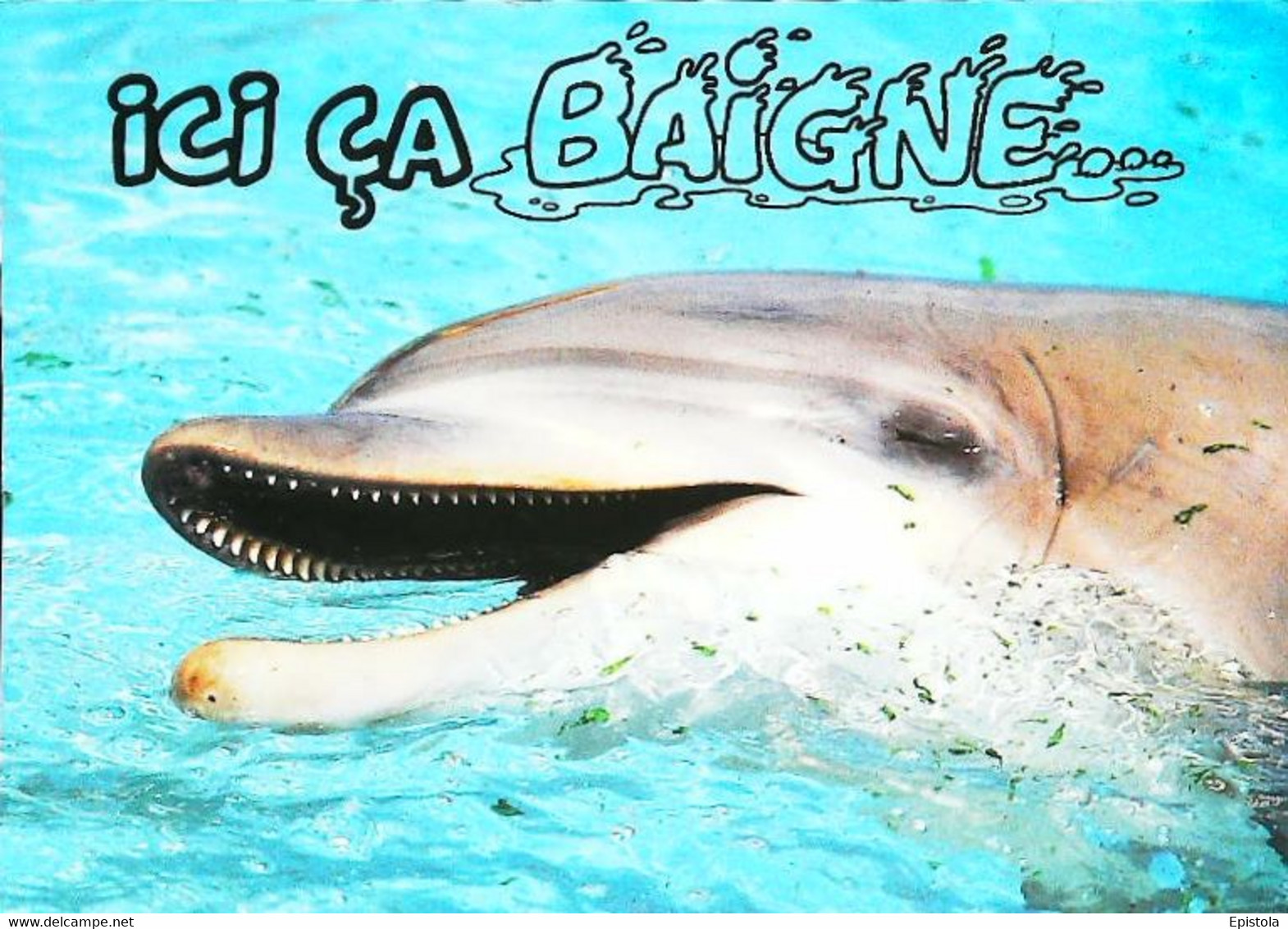 CPSM // Dauphin Dolphin - Dauphins