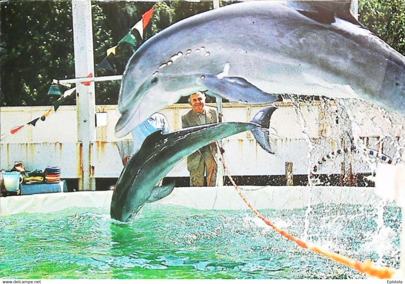 CPSM //   Dauphin Dolphin Jean Richard Richard Decker - Dauphins