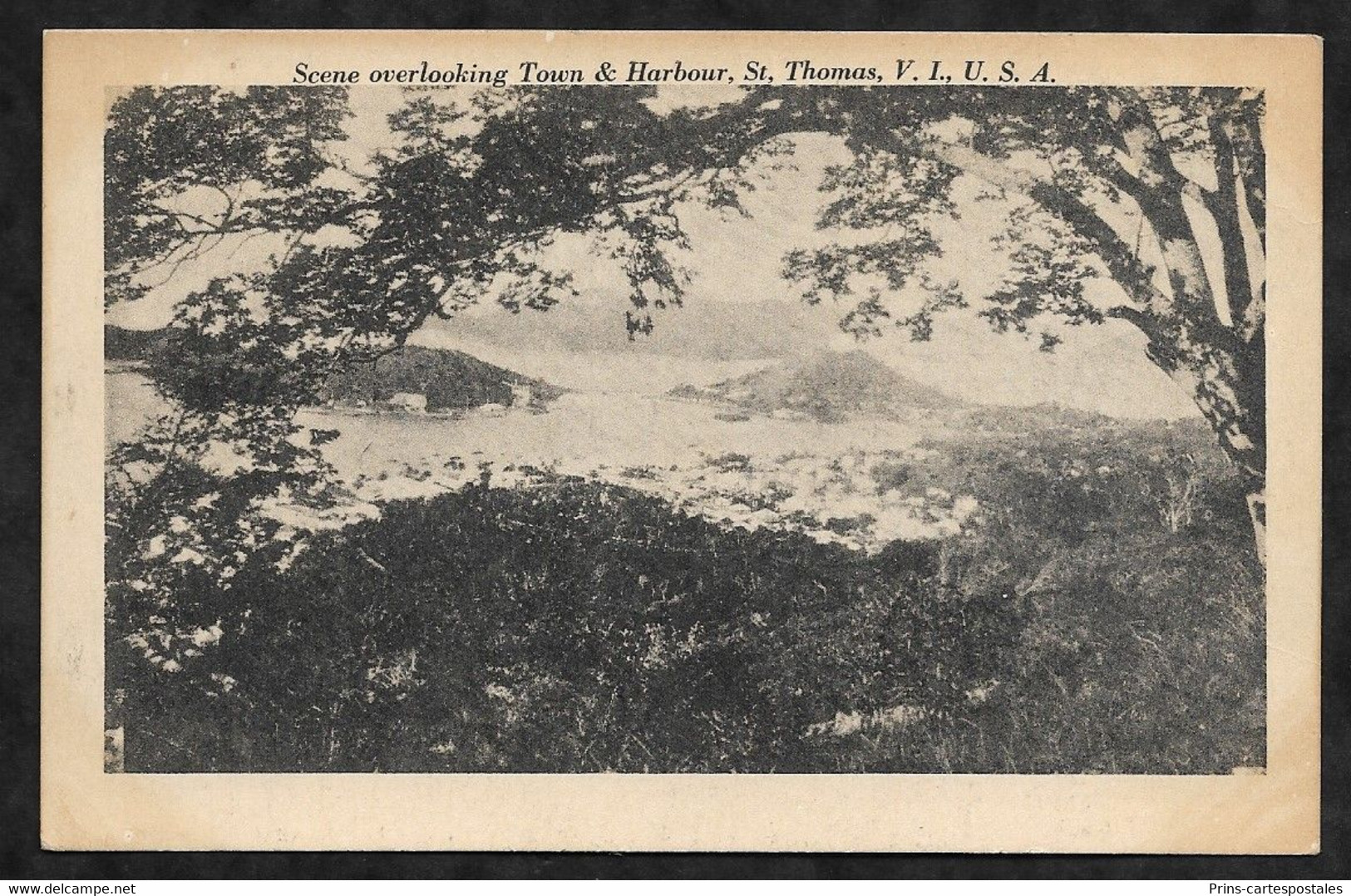 CPA Saint-Thomas  Scene Overlooking Town & Harbbour, St Thomas W.I, USA - Virgin Islands, US