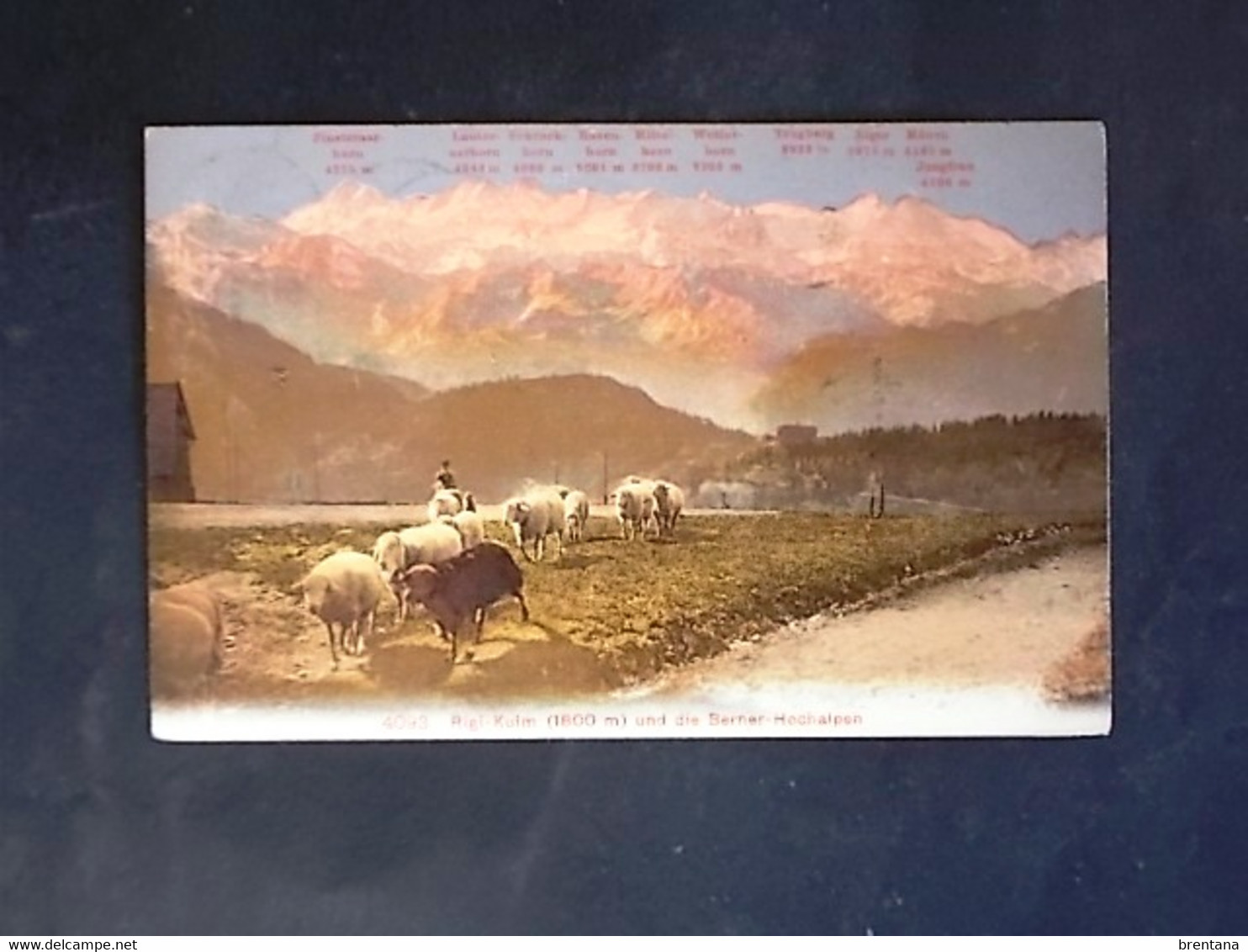 SVIZZERA -SUISSE -RIGI-KULM ARTH -F.P. LOTTO N°760 - Arth