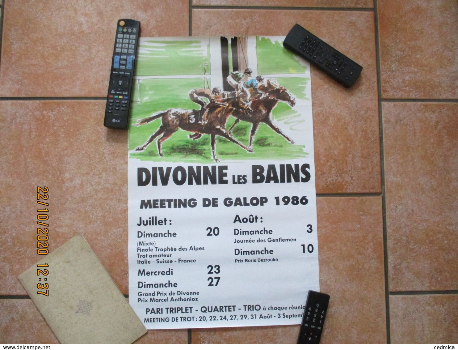 DIVONNE LES BAINS MEETING DE GALOP 1986  60cm/40cm - Affiches