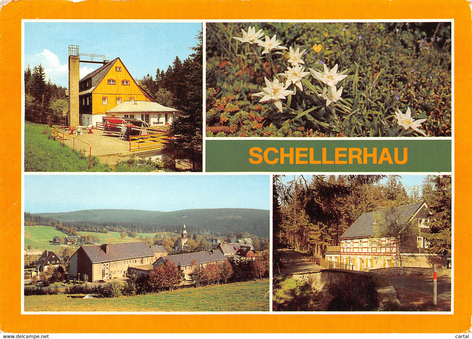 CPM - SCHELLERHAU - Schellerhau