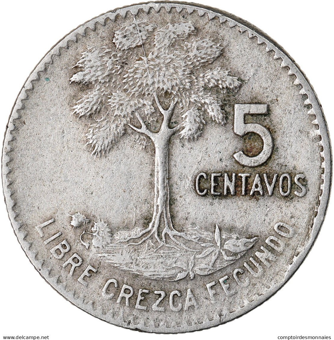 Monnaie, Guatemala, 5 Centavos, 1967, TTB, Copper-nickel, KM:266.1 - Guatemala