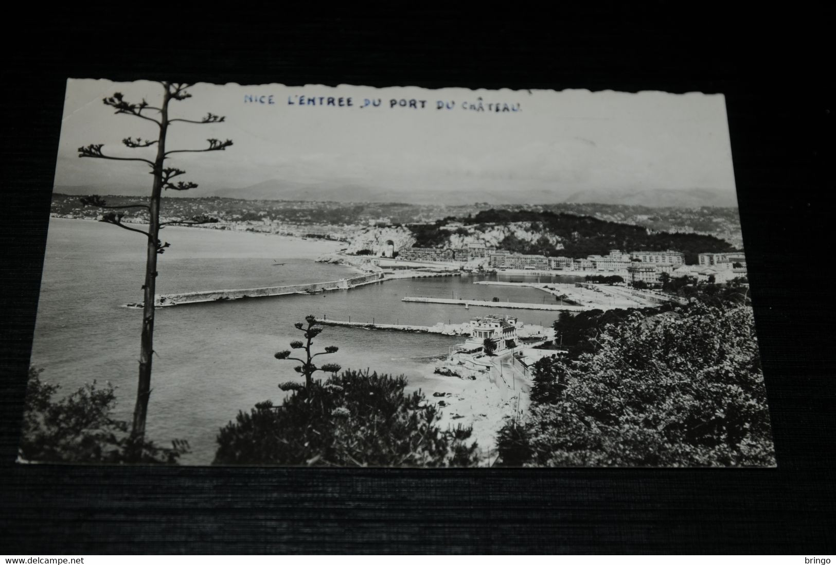 18963-           NICE, L'ENTREE DU PORT DU CHATEAU - Cartas Panorámicas