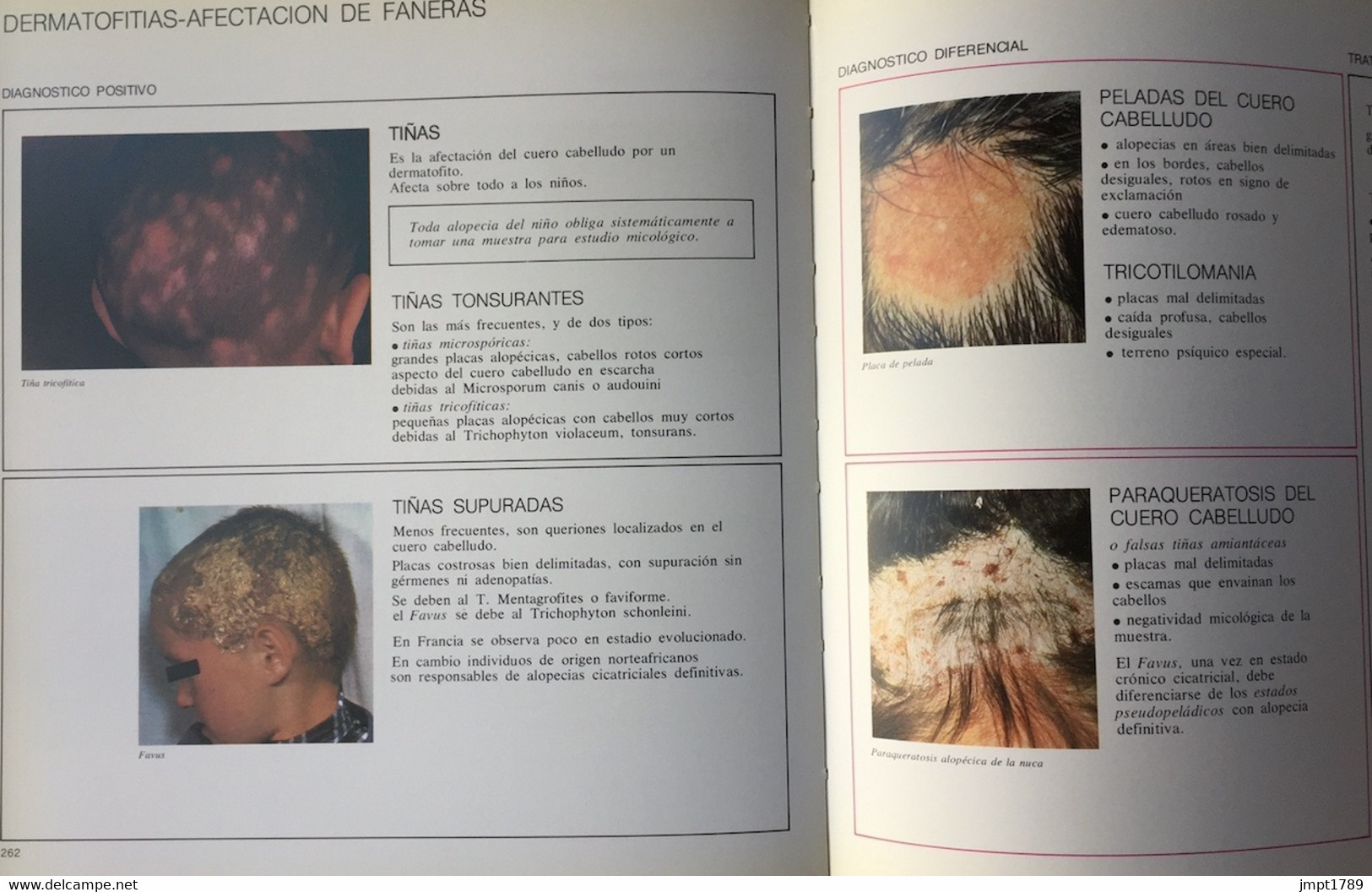 Dermatología Práctica Diprogenta Diproderm. Dr. F Daniel. Schering 1973 Dermatologie - Gezondheid En Schoonheid