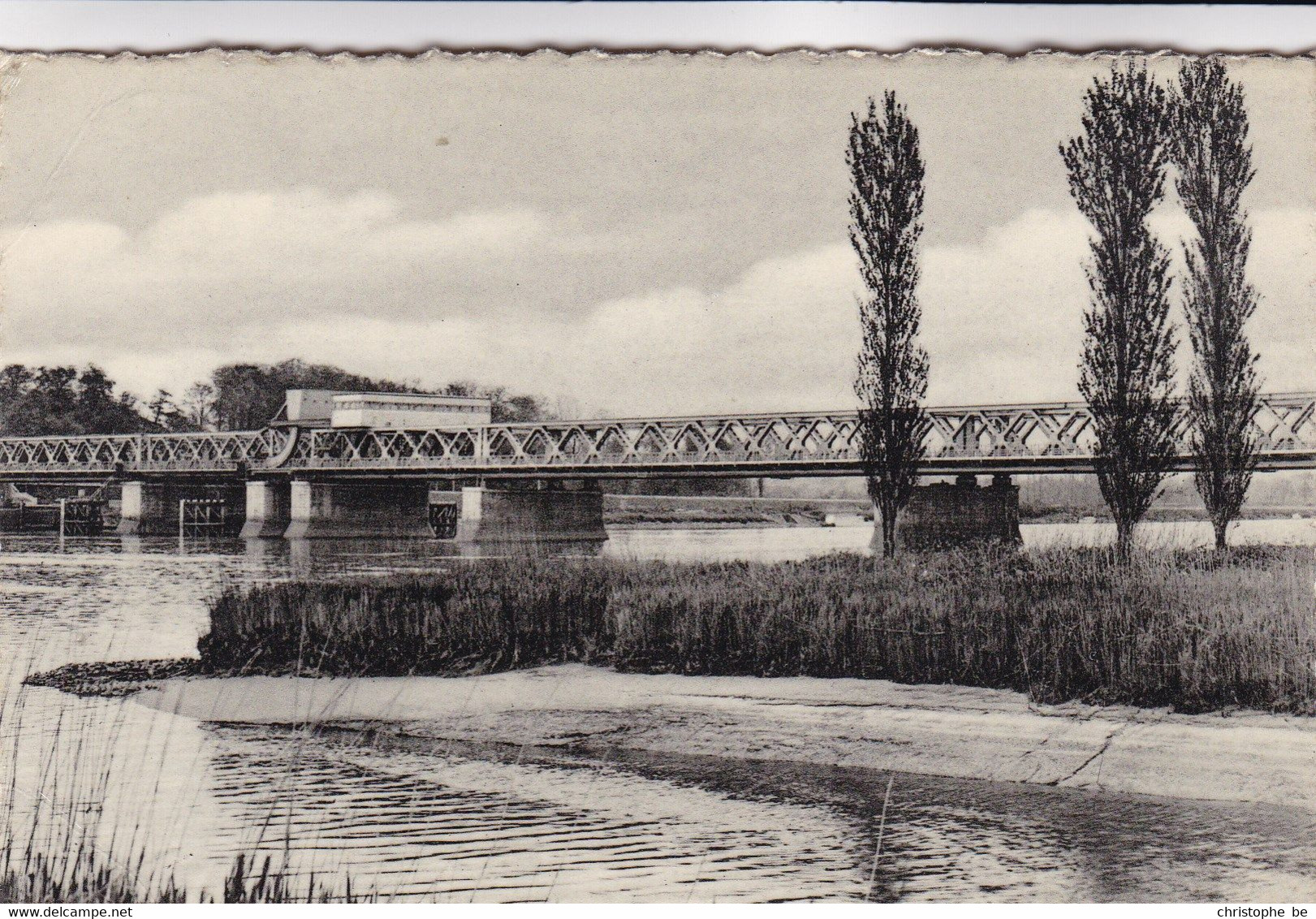 Bornem, Scheldebrug (pk71223) - Bornem