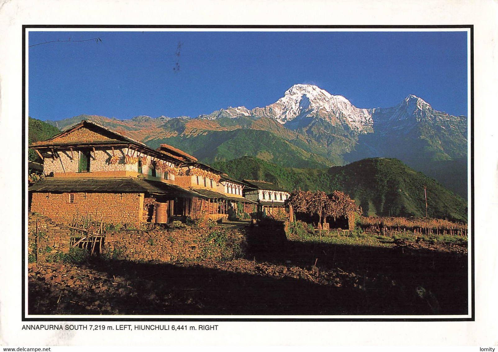 Nepal Annapurna Hiunchuli Montagne Mont + Timbre 2001 - Nepal