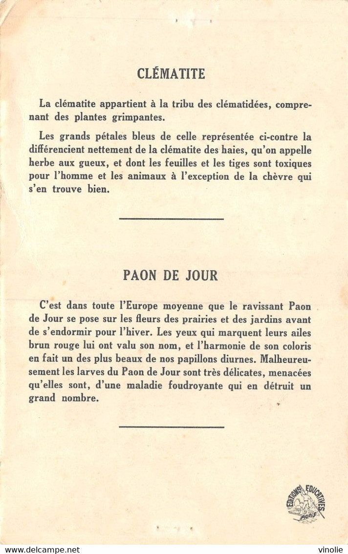 PIE-20-MM-1349 : ILLUSTRATION DE CALVET ROGNIAT. CLEMATITE ET PAON DU JOUR - Papillons