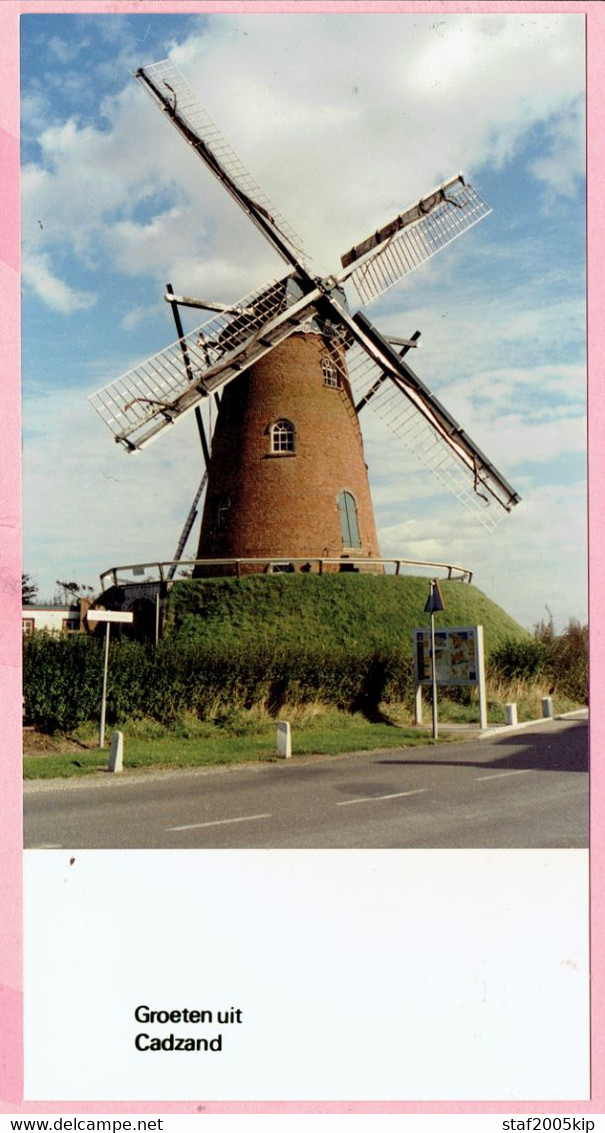 Groeten Uit Cadzand - FOTO - MOLEN - Cadzand