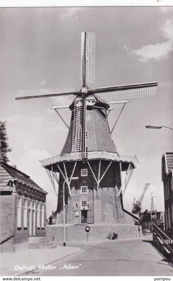 QI - DELFZIJL - Molen "Adam"  (neuf) - Delfzijl