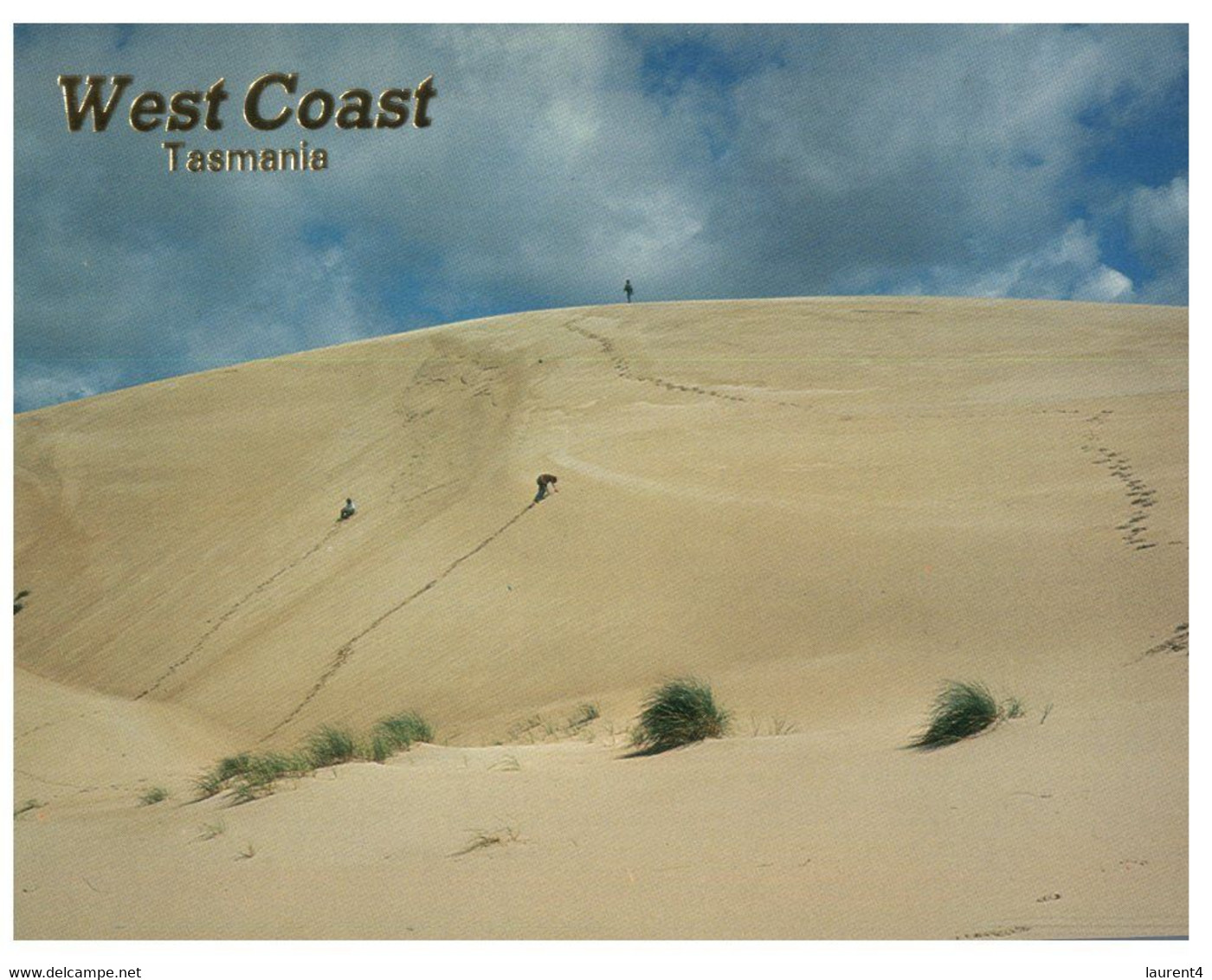 (T 11) Australia - TAS - West Coast (TP833) - Wilderness