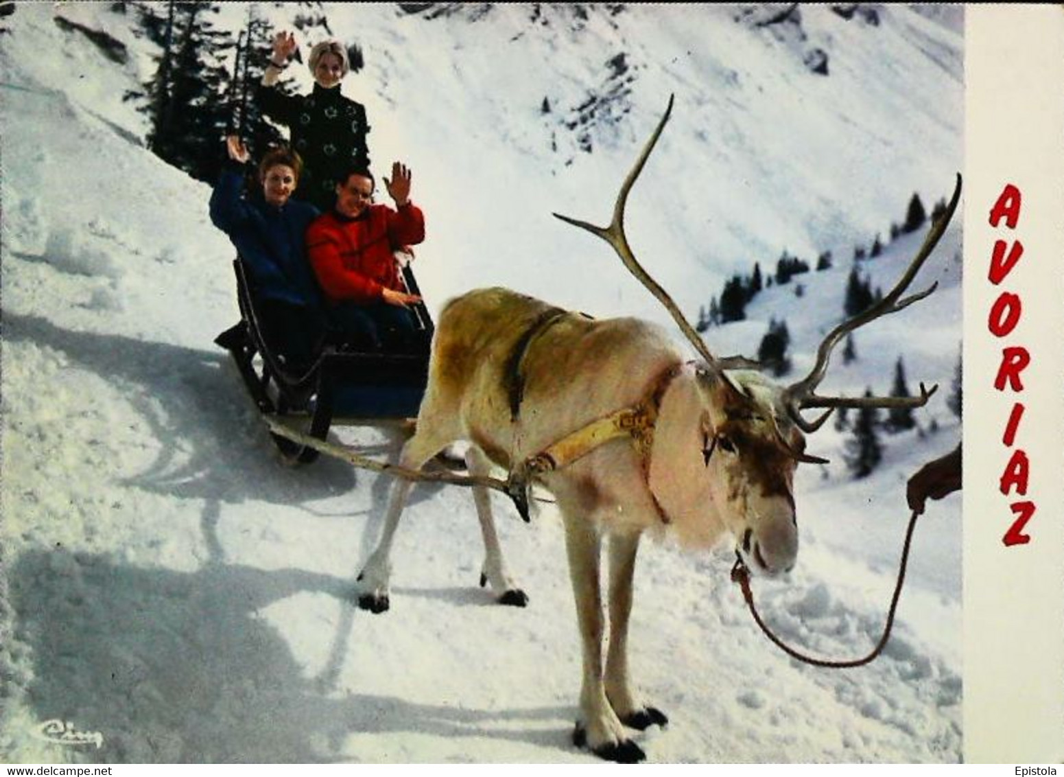 CPM  //    Attelage  Traineaux Renne   Avoriaz 1970 - Attelages