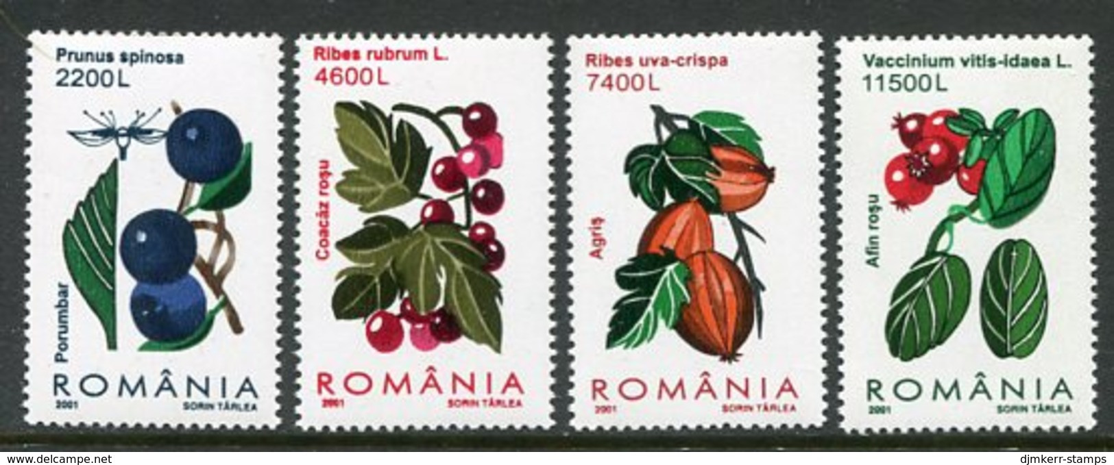 ROMANIA 2001 Forest Berries MNH / **.  Michel 5567-70 - Unused Stamps