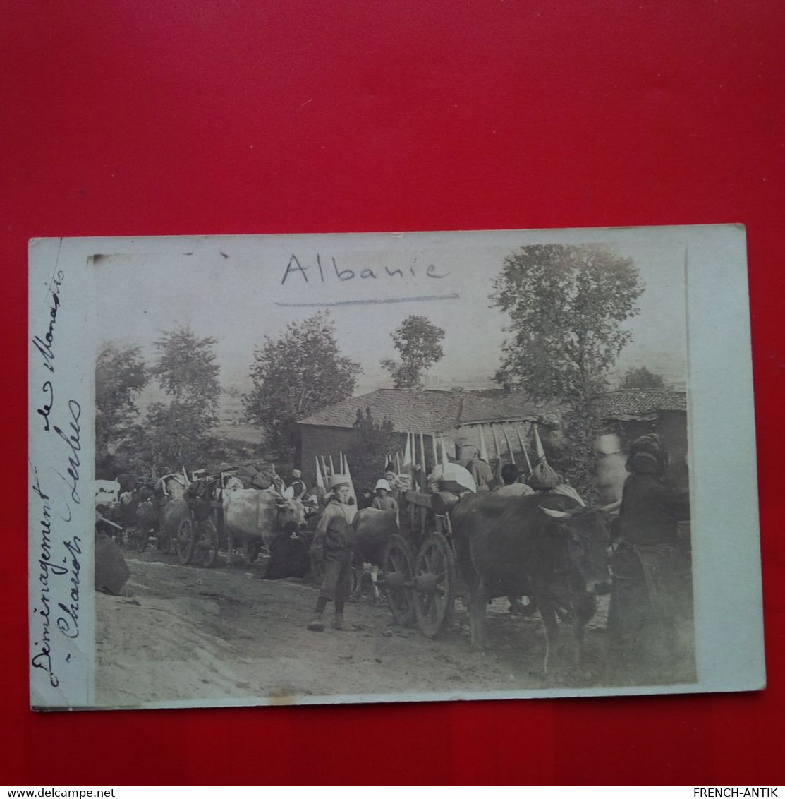 CARTE PHOTO ALBANIE 1917 DEMENAGEMENT ATTELAGE SERBE - Albanië