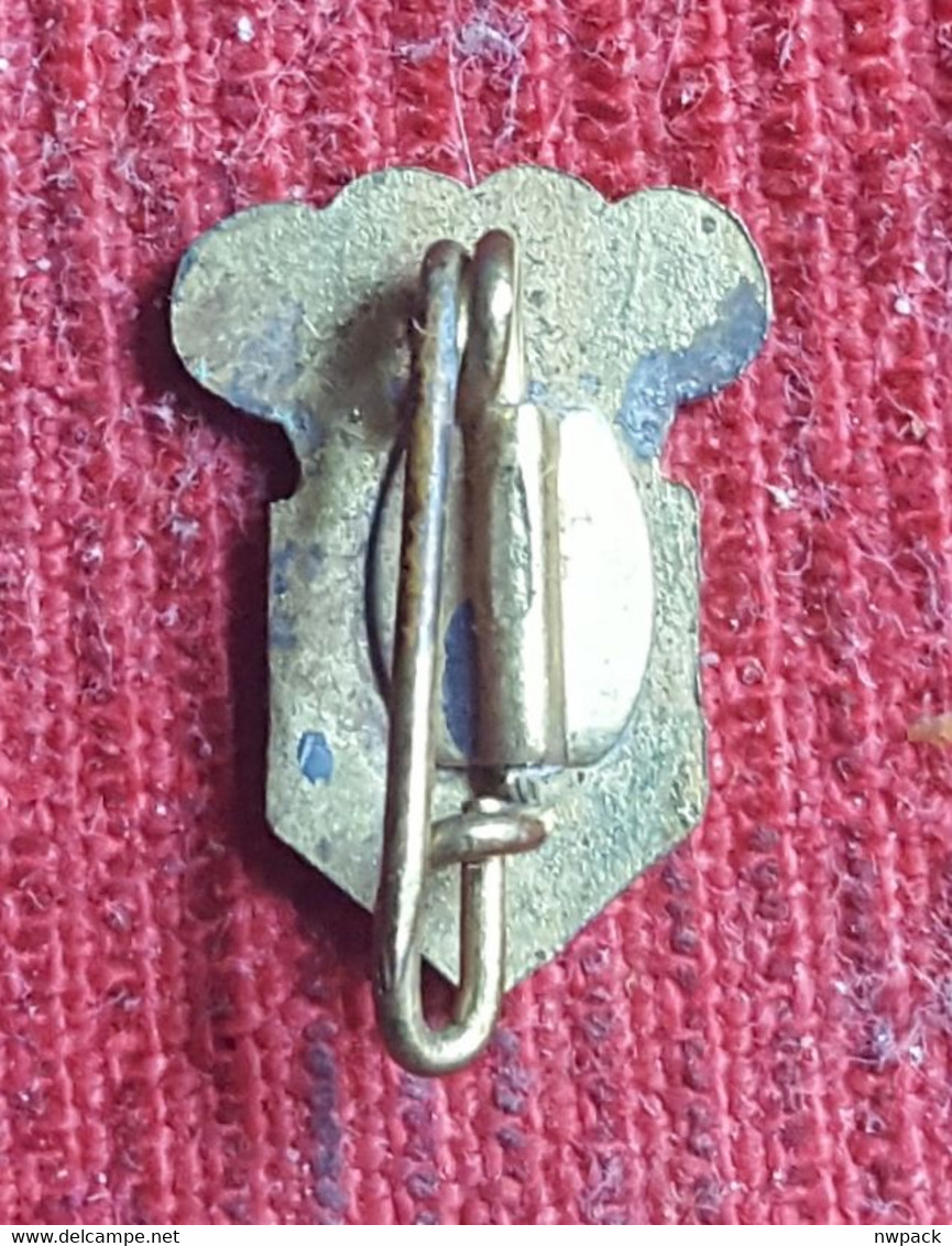 Car - DKW AUTO UNION Badge, Pin, Brooch - Audi