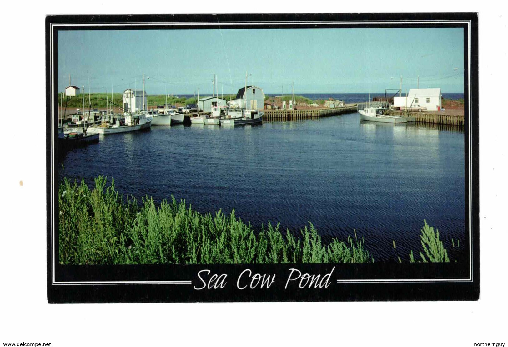 2 Different TINGISH, Prince Edward Island, Canada, Sea Cow Lighthouse & Pond, Old Chrome Postcards - Altri & Non Classificati