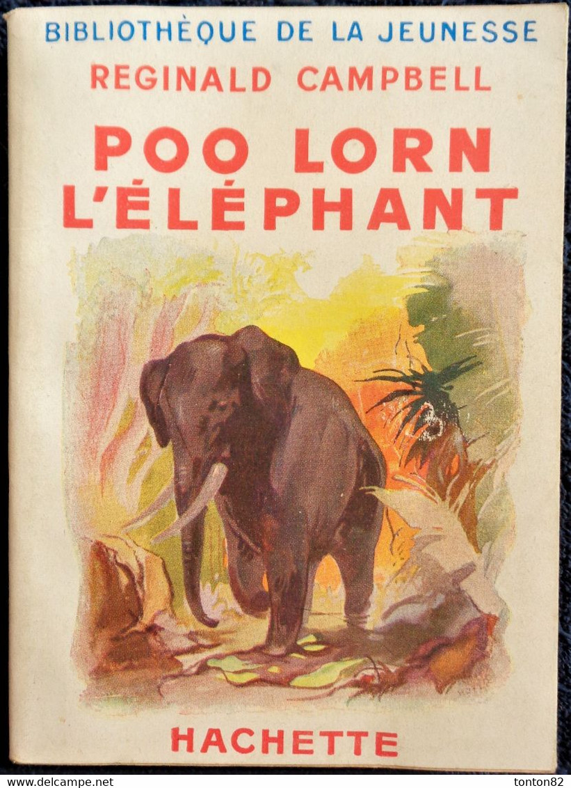 Reginald Campbell - POO LORN L' Éléphant - Hachette - Bibliothèque De La Jeunesse - ( 1951 ) - TBE . - Bibliothèque De La Jeunesse