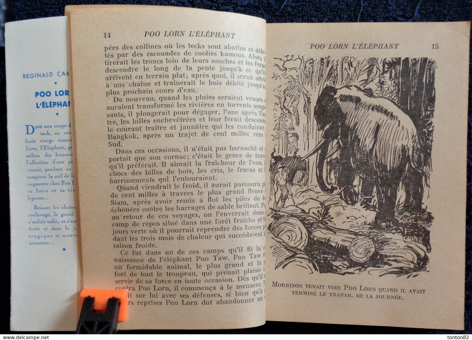 Reginald Campbell - POO LORN l' Éléphant - Hachette - Bibliothèque de la Jeunesse - ( 1951 ) - TBE .